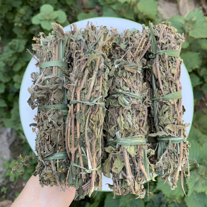 Thảo mộc xông nhà bó xô thanh tẩy nhà cửa, lá đốt thơm xông nhà, tẩy uế và khai thông trước khi cầu nguyện