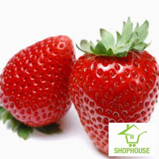 shophouse 100 Hạt giống dâu tây quả to chịu nhiệt  SHOP HOUSE  TẾT KHUYẾN MẠI