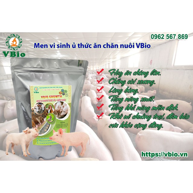 Chế phẩm ủ thức ăn chăn nuôi - Ủ thức ăn gia súc