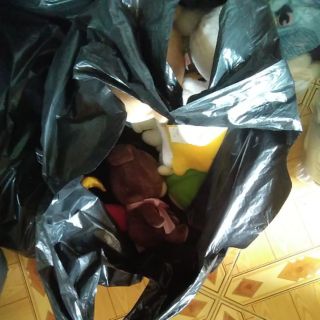 Gấu bông của nguyễn kim hường