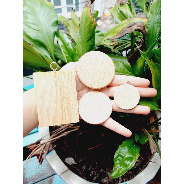 Thớt Gỗ Các Loại dùng cho nấu ăn Mini