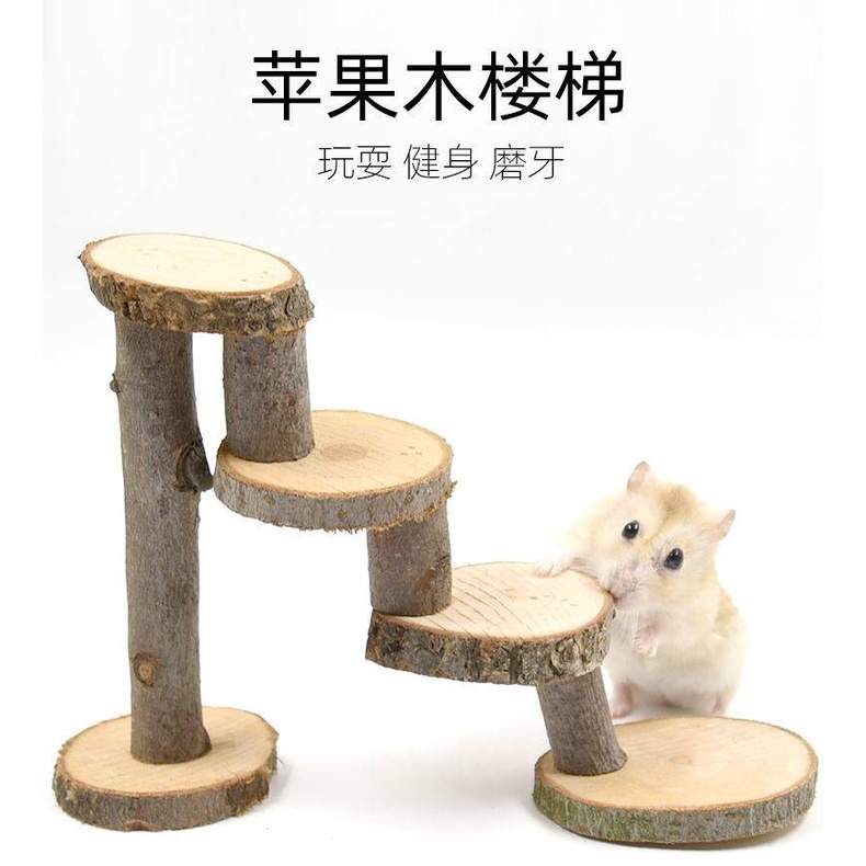 Đồ chơi thang leo bằng gỗ cho chuột Hamster