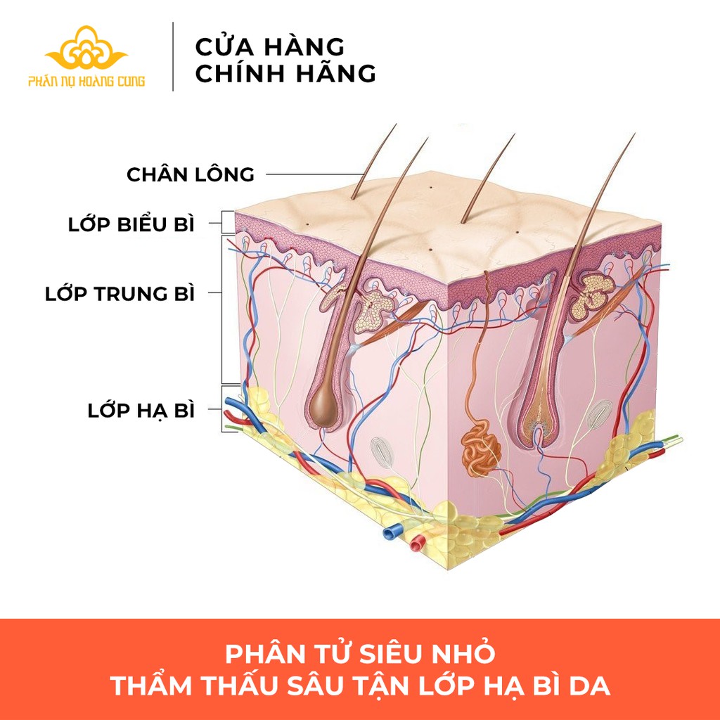 Tinh Chất Serum vitamin C Phấn Nụ Hoàng Cung 30ml/hộp