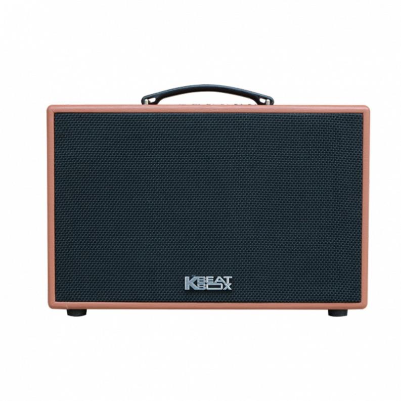 Loa Karaoke mini ACNOS CS250PU - ACNOS CS200PU