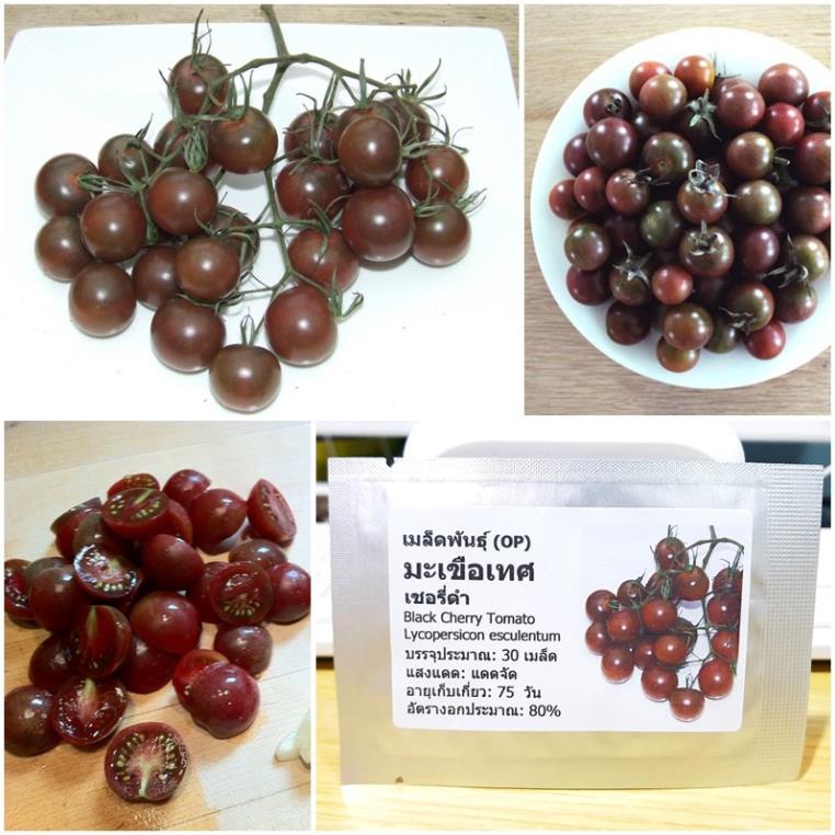 Hạt Giống Cà Chua Đen Cherry túi 30 hạt