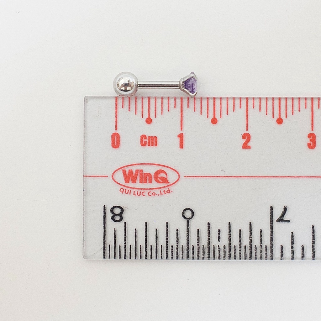 [1 Chiếc] Khuyên Tai Titan Đá Tím Unisex Thân Bạc Đuôi Bi Không Gỉ Sét Không Ngứa Bông Tai Nam Julies Box 66