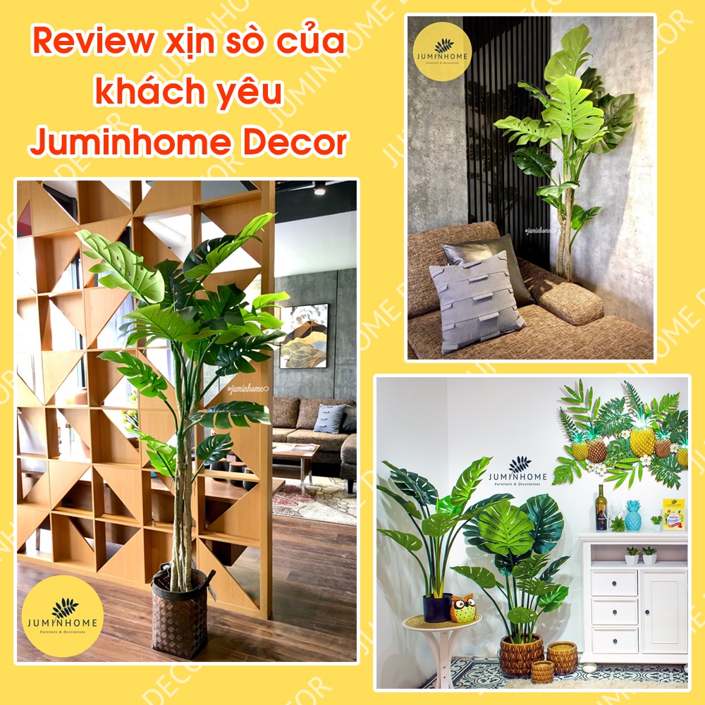 Cây trầu bà giả, monstera, cây lá rùa, trầu bà lá xẻ - Cây giả decor trang trí nhà cửa nội thất phòng khách phòng ngủ