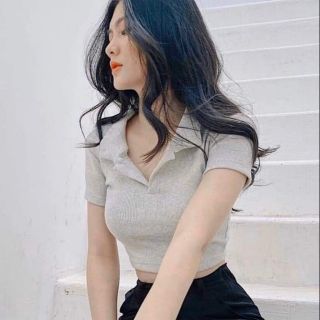 Áo croptop cổ polo ( thun bozip loại đẹp )