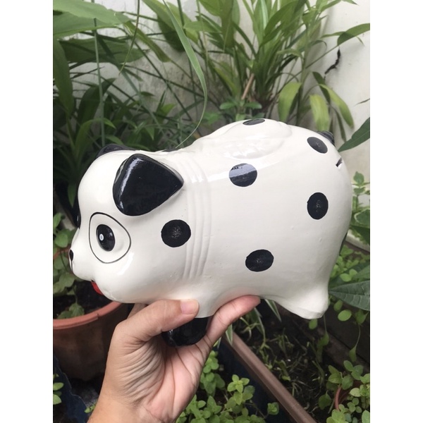 Heo đất chó đóm trắng L