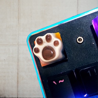 [ ORDER ] RESIN KEYCAP HÌNH CHÂN MÈO