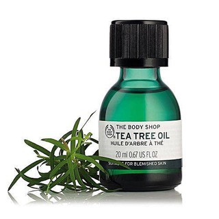 Tinh dầu tràm trà - tea tree oil
