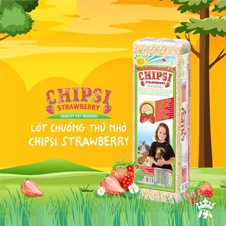 Mùn cưa Chipsi cho hamster , thỏ, bọ,sóc, nhím - T3 PETS SHOP
