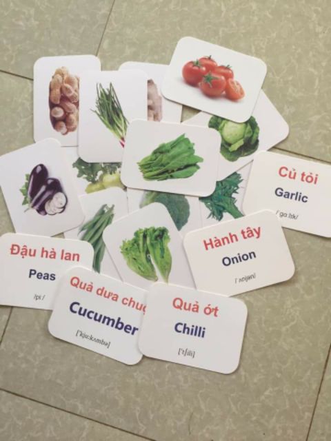 Thẻ Glenndoman] Bộ thẻ Thế giới xung quanh 15 chủ đề
