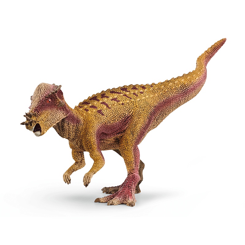 Đồ Chơi SCHLEICH Mô Hình Khủng Long Pachycephalosaurus 15024