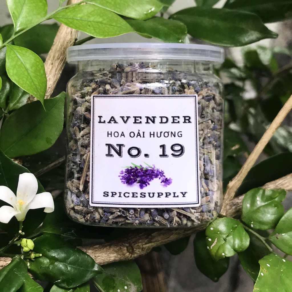 Lavender Đà Lạt - Hoa oải hương mẻ mới siêu thơm Sỉ Lẻ