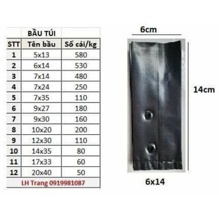 1 lạng bầu ươm cây chọn size