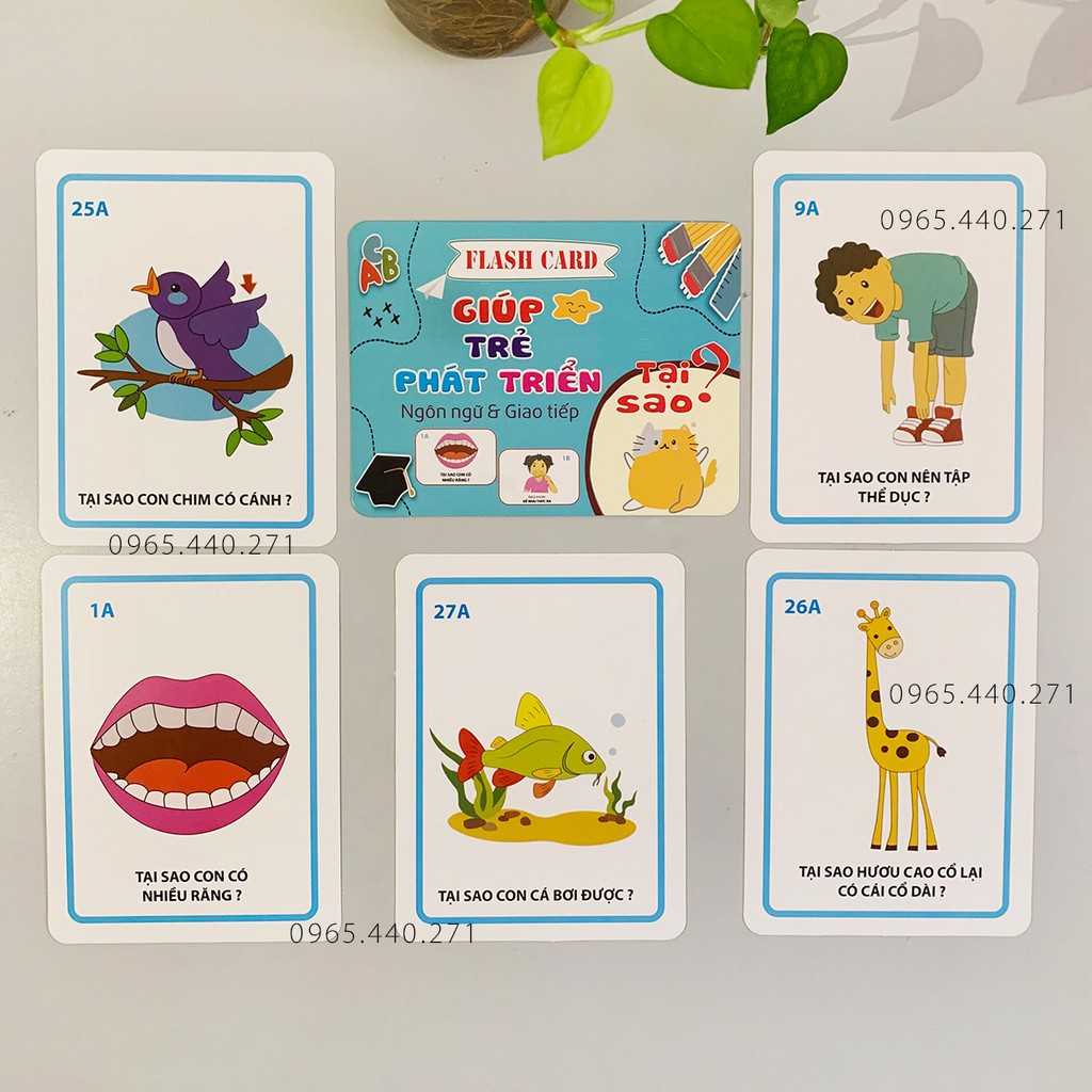 Bộ Flashcard 300 câu hỏi + trả lời giúp trẻ phát triển tư duy ngôn ngữ & giao tiếp: Ai? Cái gì? Ở đâu? Khi nào? Tại sao?