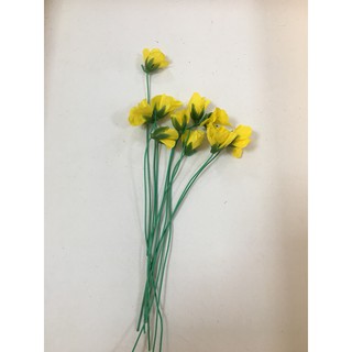 TẾT - NỤ MAI - BỊCH 100g