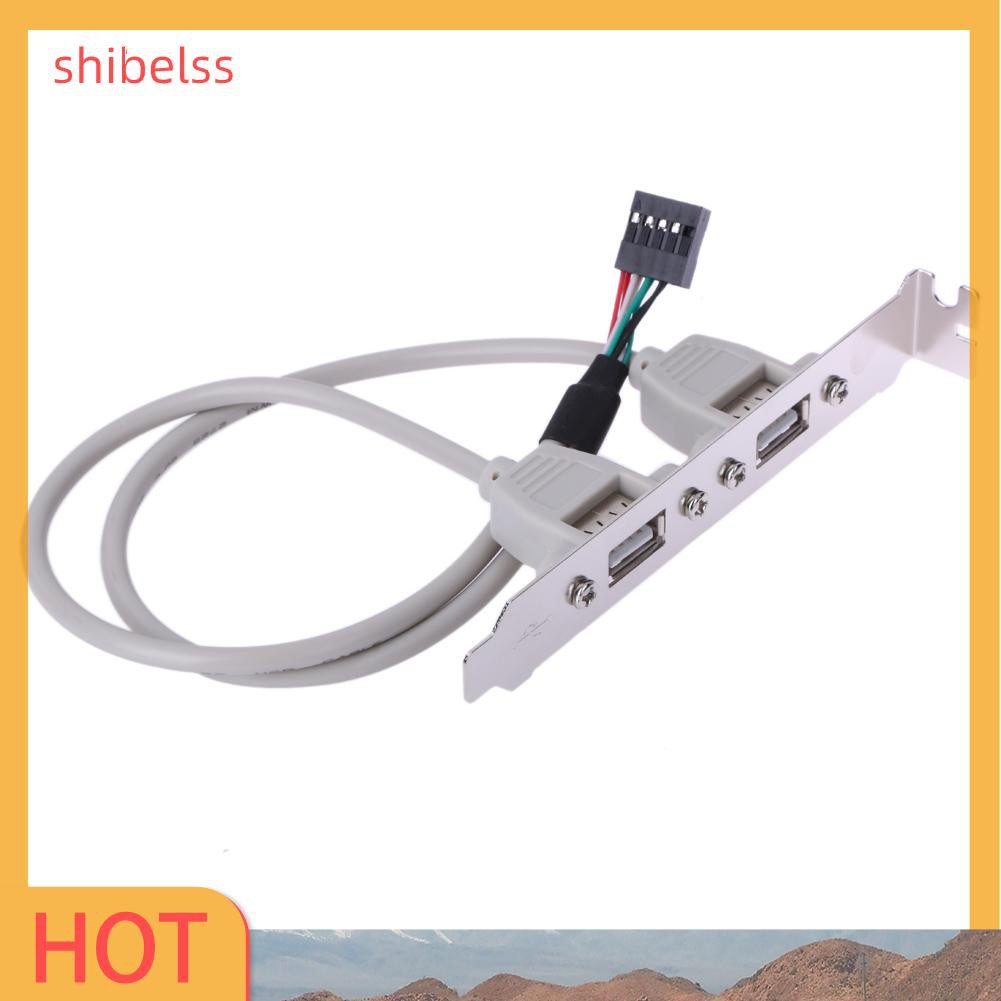 Cáp Nối Bo Mạch Chủ 2 Cổng Usb 2.0 Shibelss