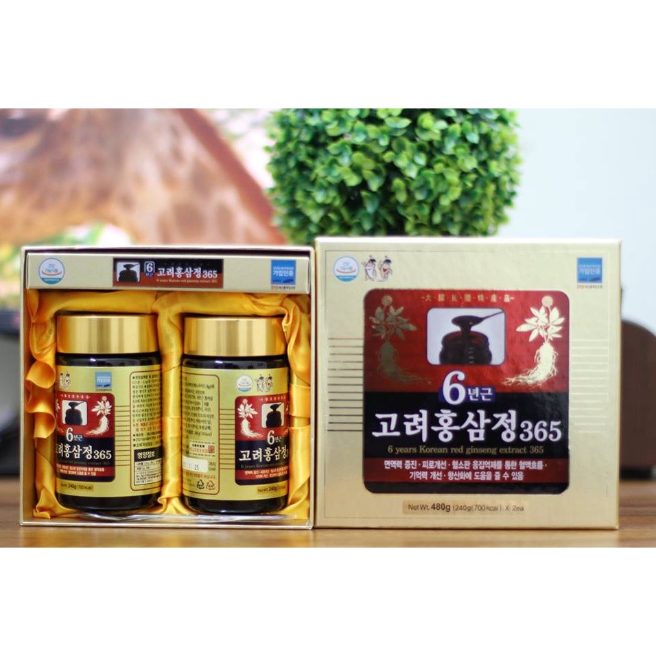 Cao Hồng Sâm 365 Cao Cấp Hàn Quốc hộp 2 lọ - linhnhikorea