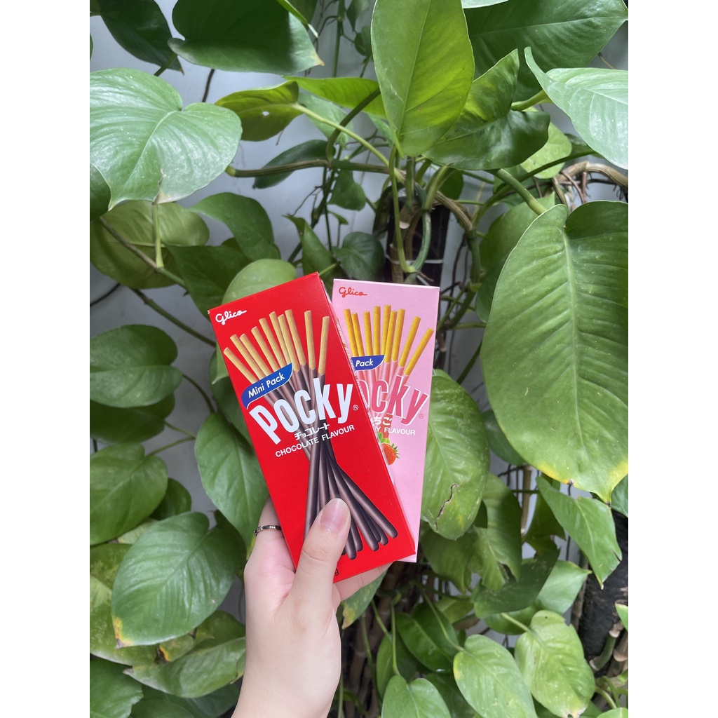 Bánh Que Pocky Kem Sôcôla Chocolate Flavor (Hộp 19g-mini đỏ)