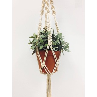 Móc treo cây Macrame
