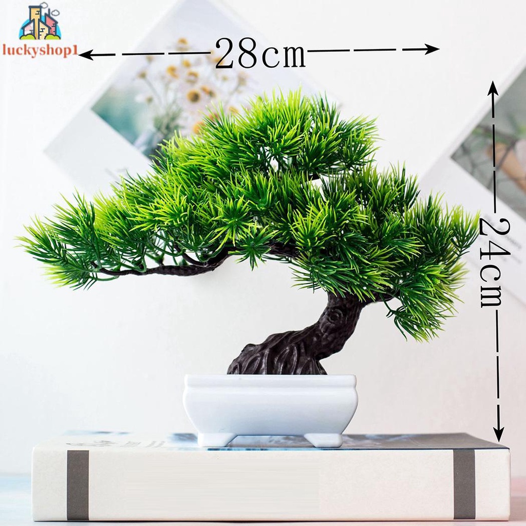 Chậu Cây Bonsai Giả Dùng Để Trang Trí Phòng Ngủ / Phòng Khách