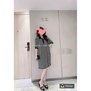 bán sỉ lẻ váy sơ mi cổ đức 2 màu