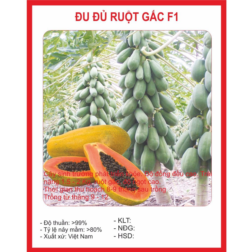 ( BOK GARDEN ) HẠT GIỐNG ĐU ĐỦ LÙN 5 HẠT