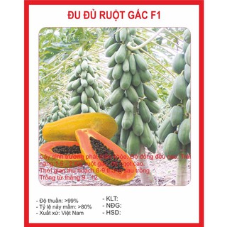 Hạt giống đu đủ lùn 5 hạt