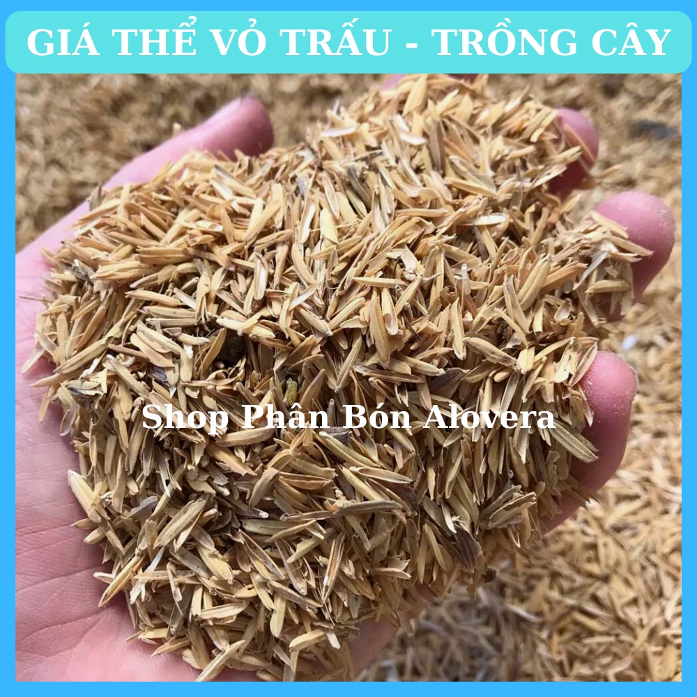 Giá Thể Trấu Sống Trồng Cây