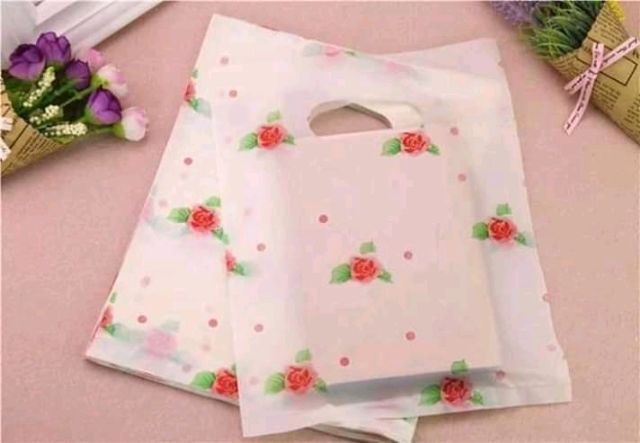 TÚI NILONG ĐỰNG MỸ PHẨM SIZE 20X25