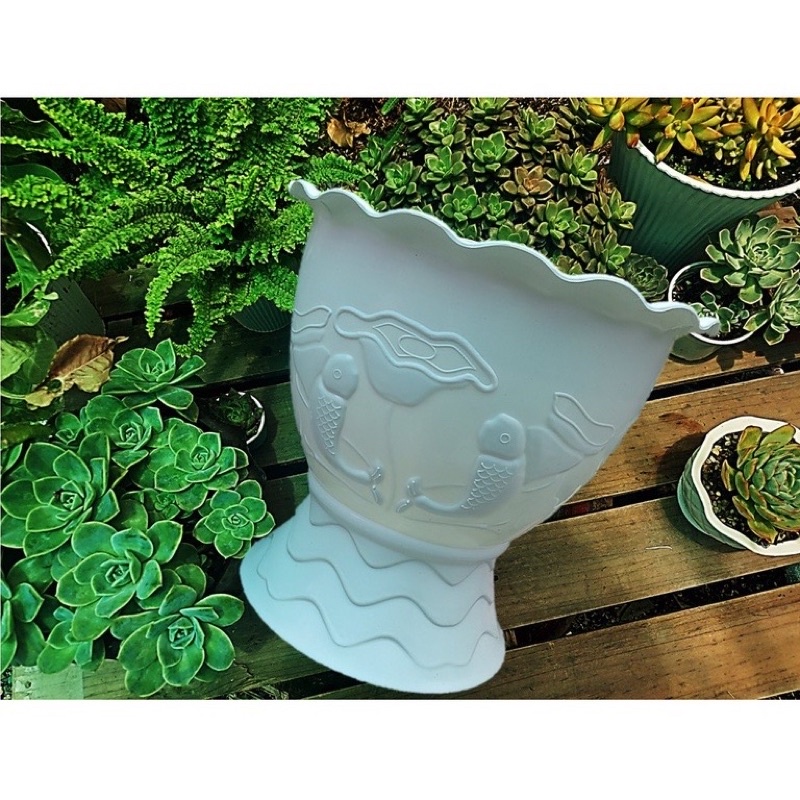 Chậu nhựa trồng cây , nhựa dày dặn cao cấp, có lỗ thoát nước