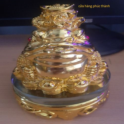 cóc thiềm thừ vàng củ cải