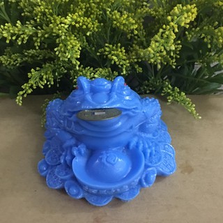 Thiềm thừ màu xanh dương