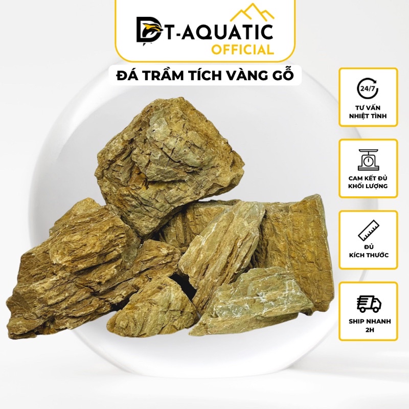 Đá Trầm Tích Vàng Gỗ  Setup Bể Thuỷ Sinh,Tiểu Cảnh Bán Cạn, Trang Trí Bể Cá Cảnh