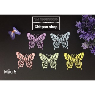 Set bướm giấy 5 con