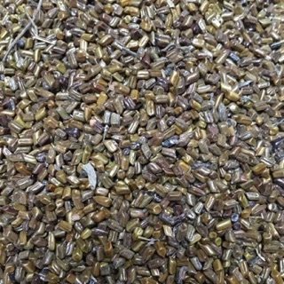 5kg Hạt muồng muồng