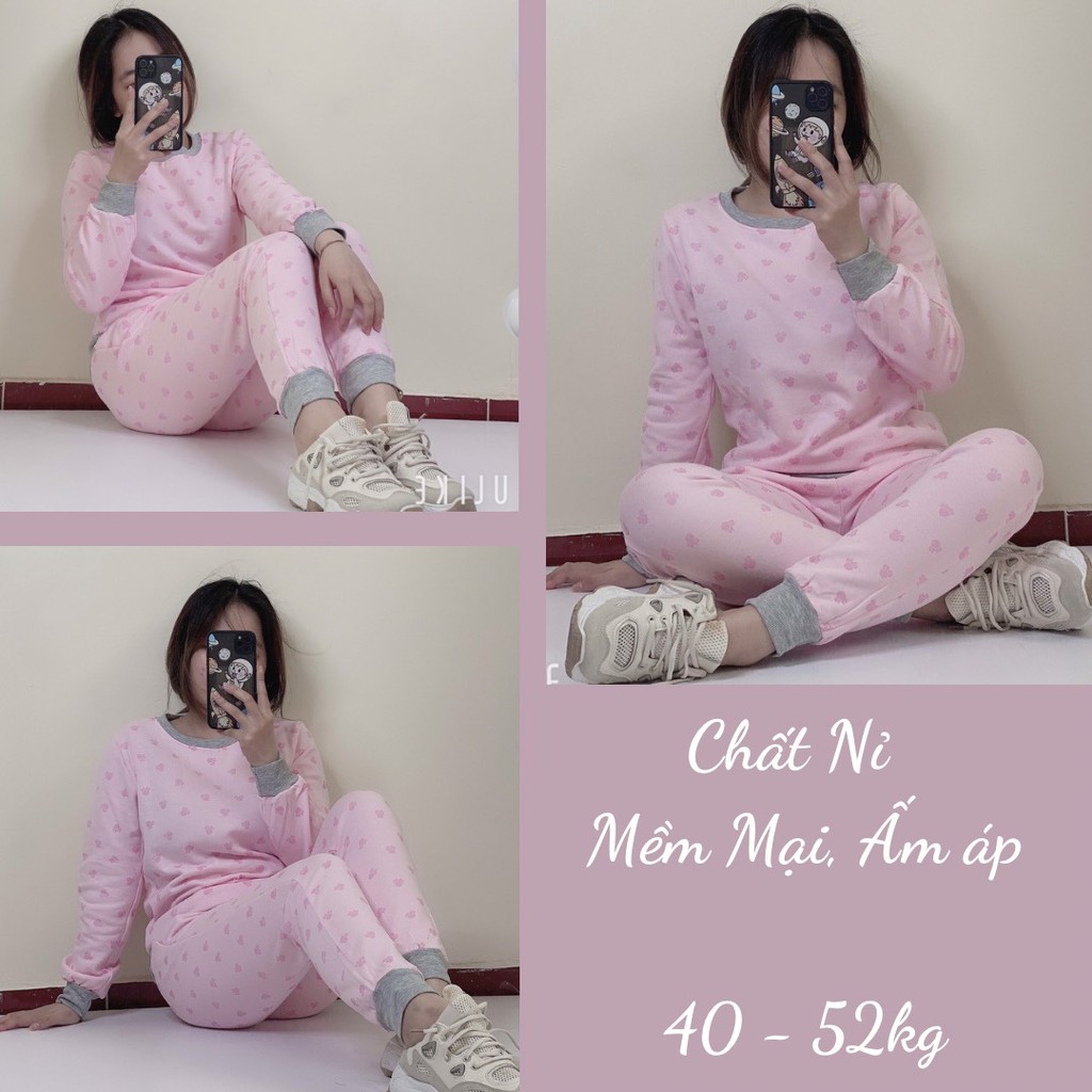 Đồ Bộ Thun Cotton Dài Mặc Ở Nhà Nữ - Bộ Quần Áo Ngủ Nữ Dài Tay Mặc Nhà Thu Đông Bigsize, Nhiều Mẫu Dễ Thương