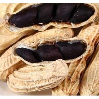 Hạt Giống Lạc Đen ( Đậu Phộng Đen ) - Gói 15gram KNS2106