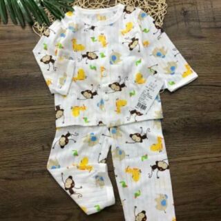 Combo 3 bộ cotton giấy