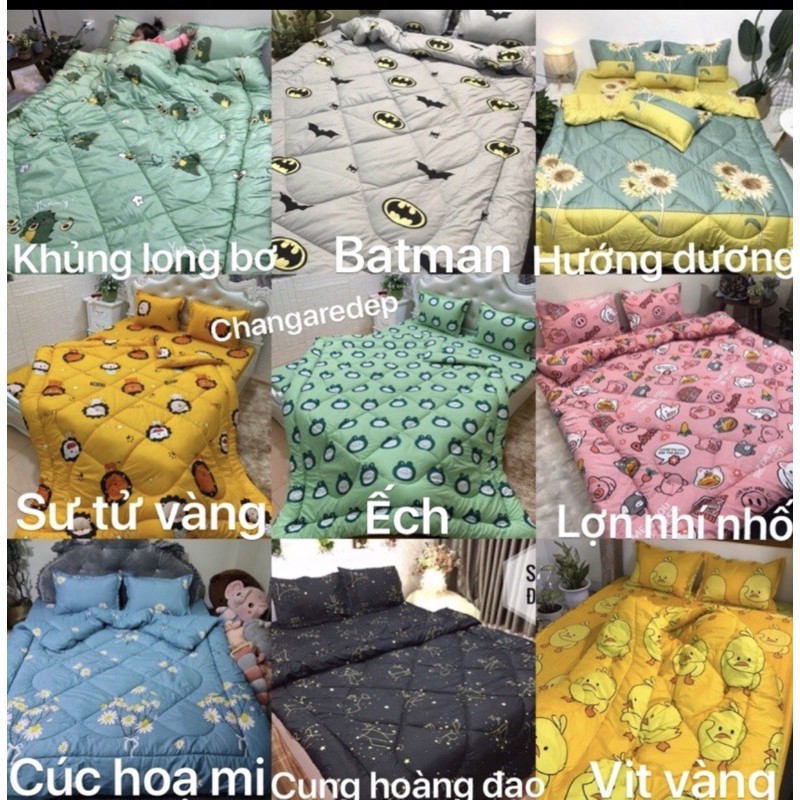 Sét ga gối hè poly cotton(ga bo chun bọc bảo vệ đệm 10cm)