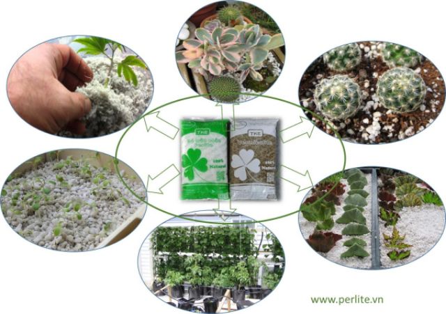 1kg_10lit Đá perlite (đá chân trâu) trồng cây, trang trí