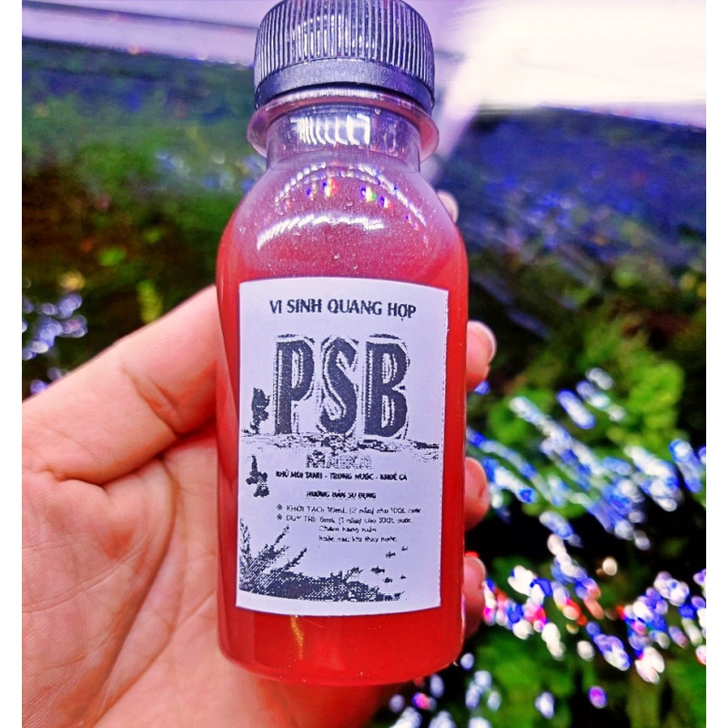 Vi Sinh PSB MAIKA 100mL | Vi sinh quang hợp làm sạch nước - Khử mùi tanh - Tạo môi trường có lợi cho cá tép