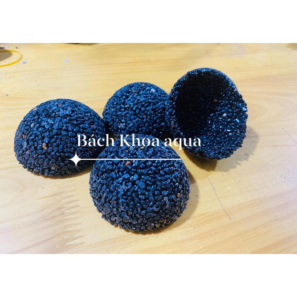 Giá thể cầu để gắn rêu ráy