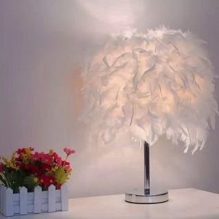 Đèn lông vũ chân inox