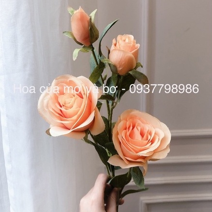 Cành 4 Hoa Hồng Lụa Hàn Quốc Merber  Nhiều Màu Bông 70cm Có Nụ, Lá - Bông Hồng Khô Hoa Giả Decor Trang Trí