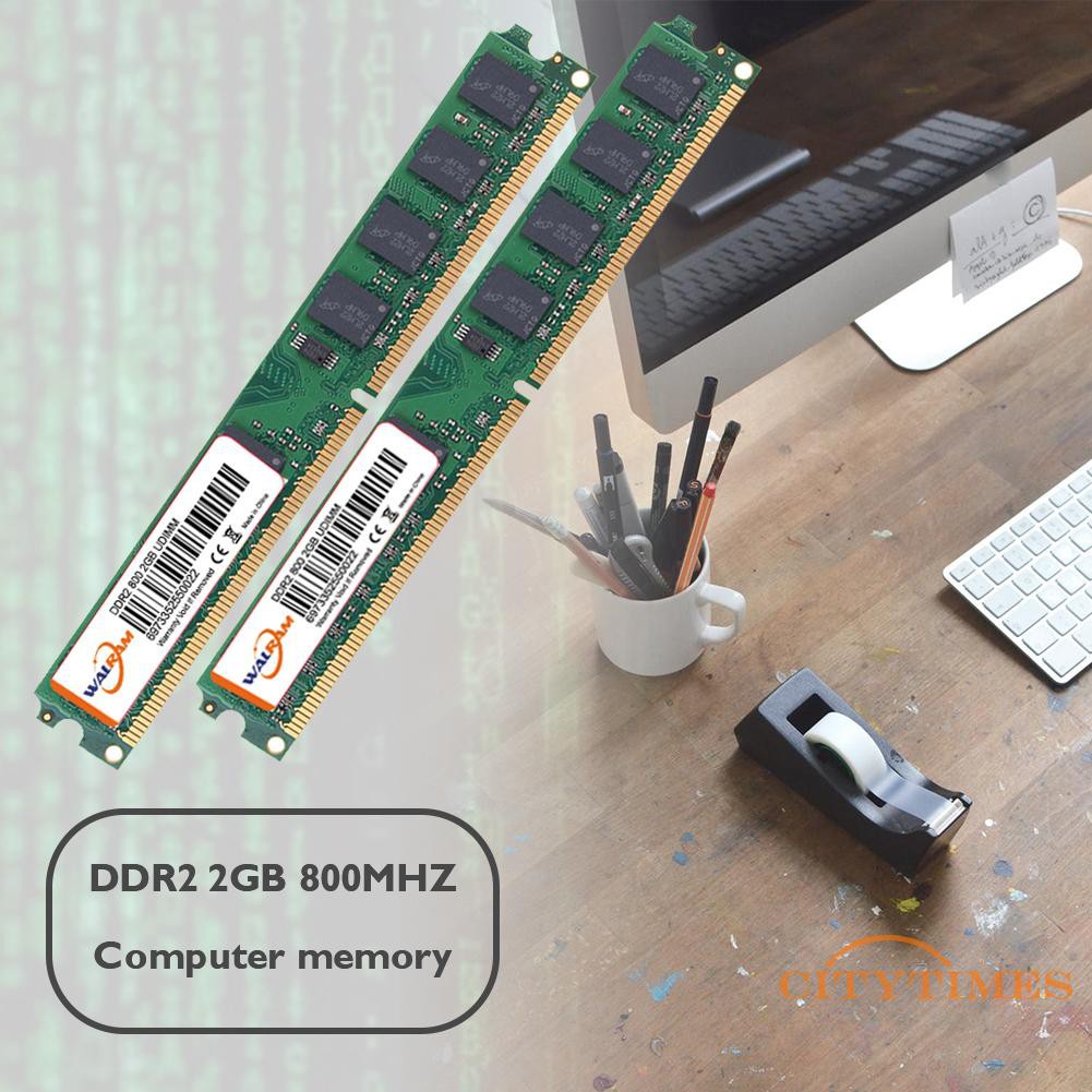 〖Ci〗 2GB DDR2 800MHz Memory Module 240 Pin for Computer PC Desktop Memories RAM  | BigBuy360 - bigbuy360.vn
