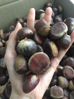2KG HẠT DẺ TRÙNG KHÁNH TƯƠI LOẠI 1
