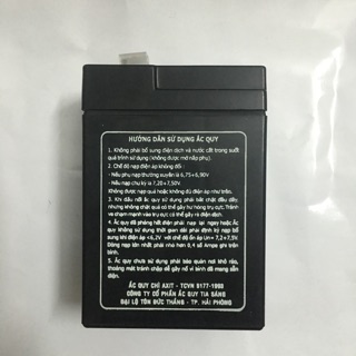 Ac quy pin TS650 6V-5A